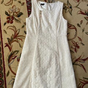 Beautiful off-white flowery lace Talbots dress, NWT